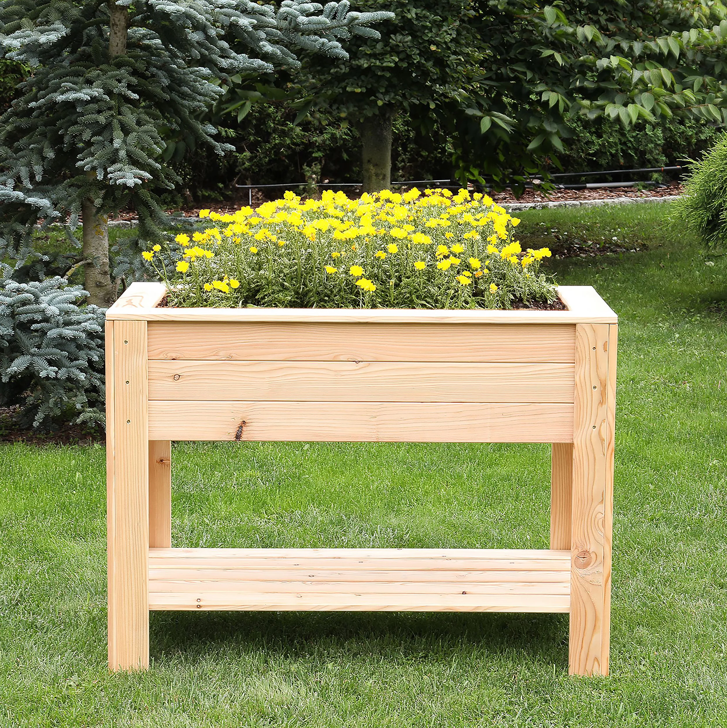Dan Larch Planter - Image 2