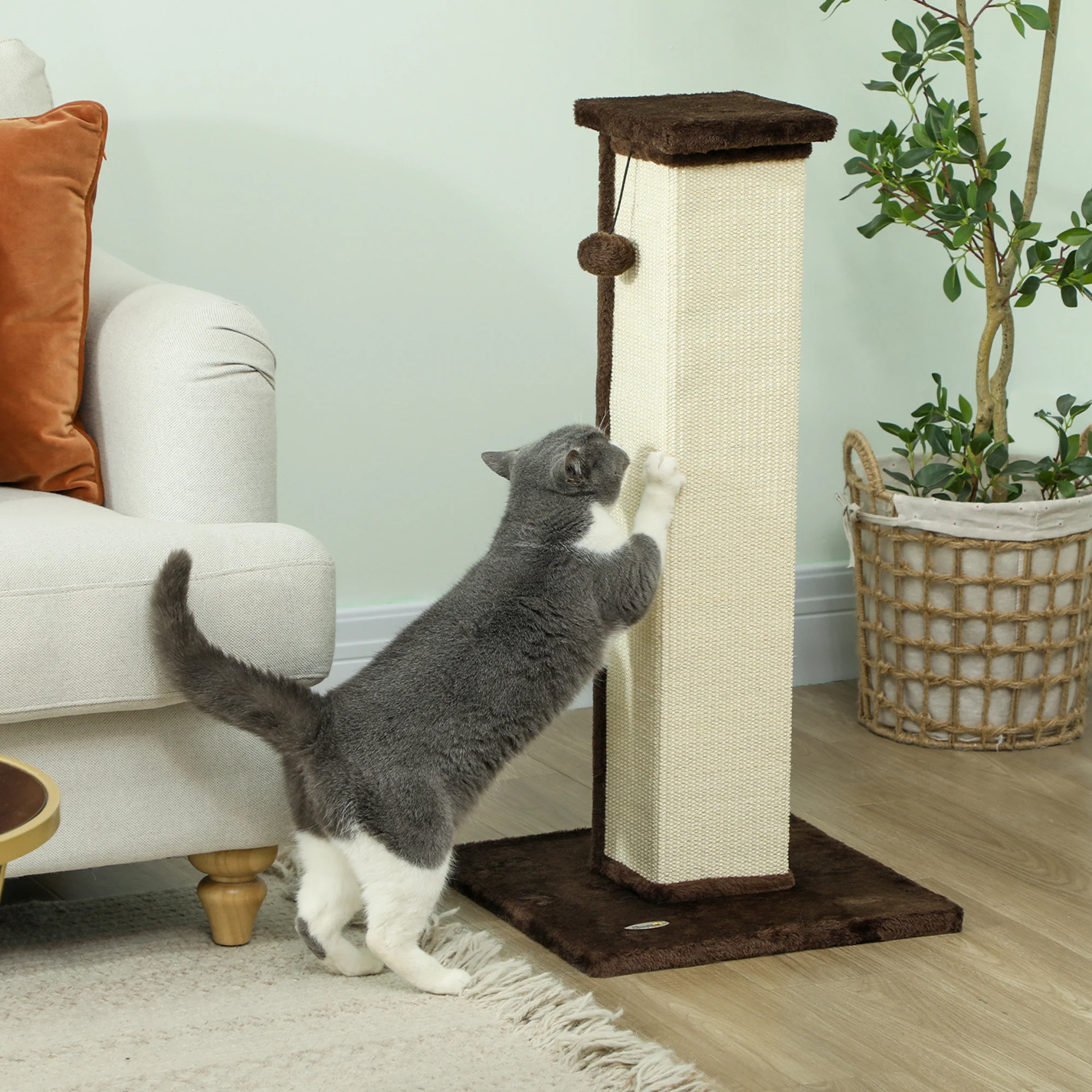 PawHut 81cm Cat Scratching Post w/ Sisal Rope, Hanging Ball Soft Plush - Image 2
