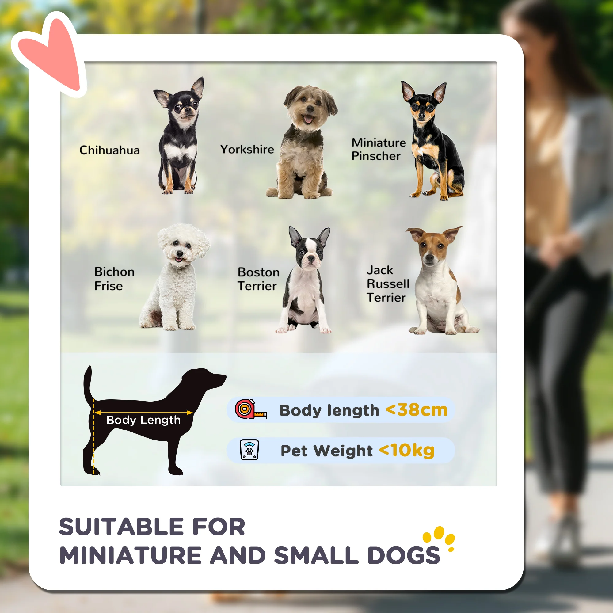 PawHut Pet Stroller for XS and S Dogs w/ Rain Cover - Image 12