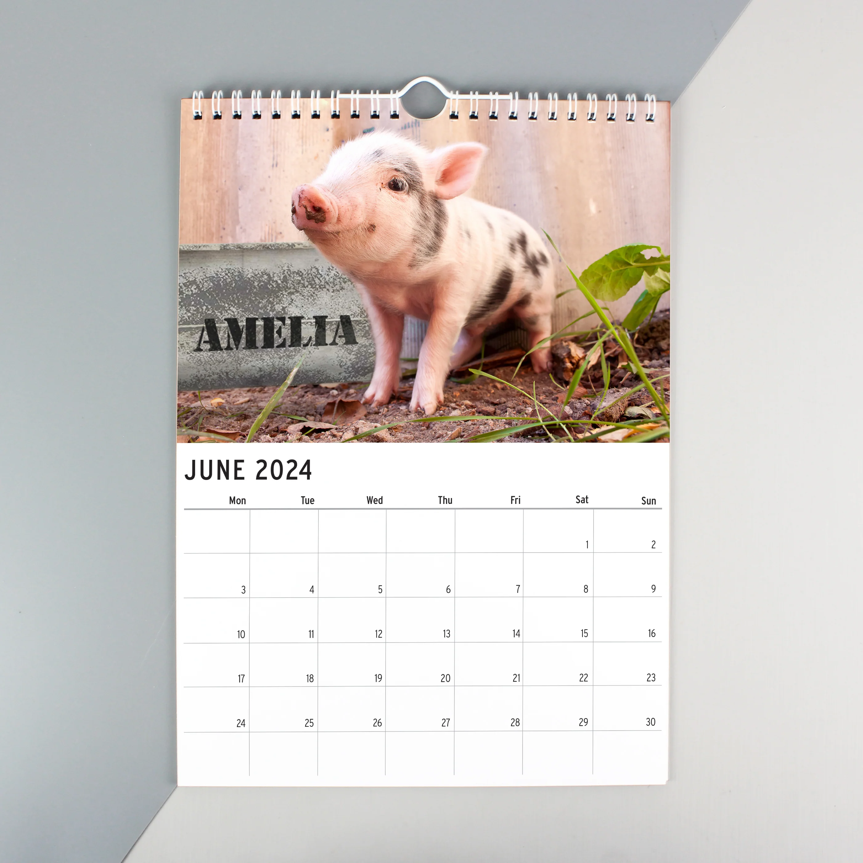 Personalised A4 Cute Animals Calendar - Image 7