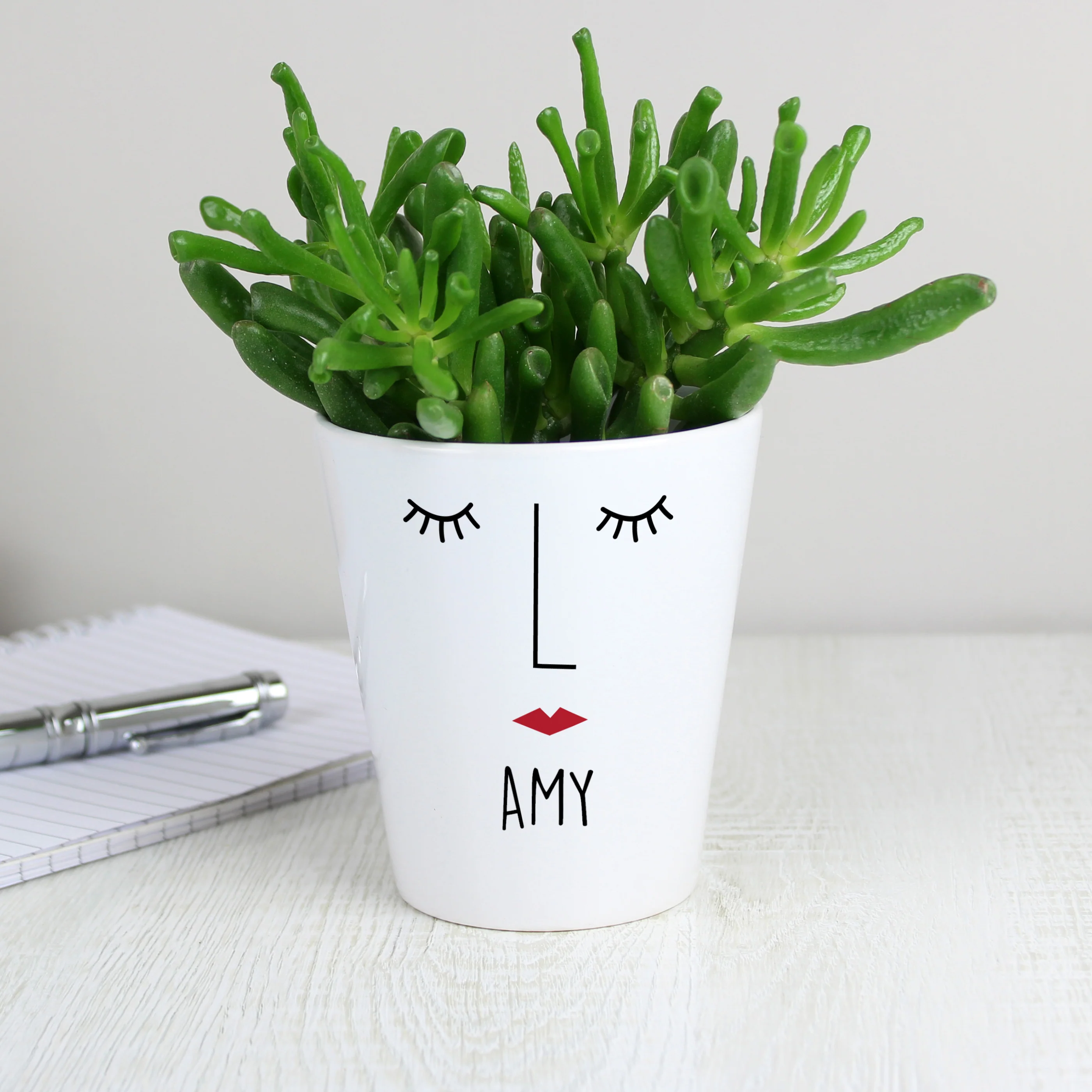 Personalised 'Mrs Face' Plant Pot - Image 3