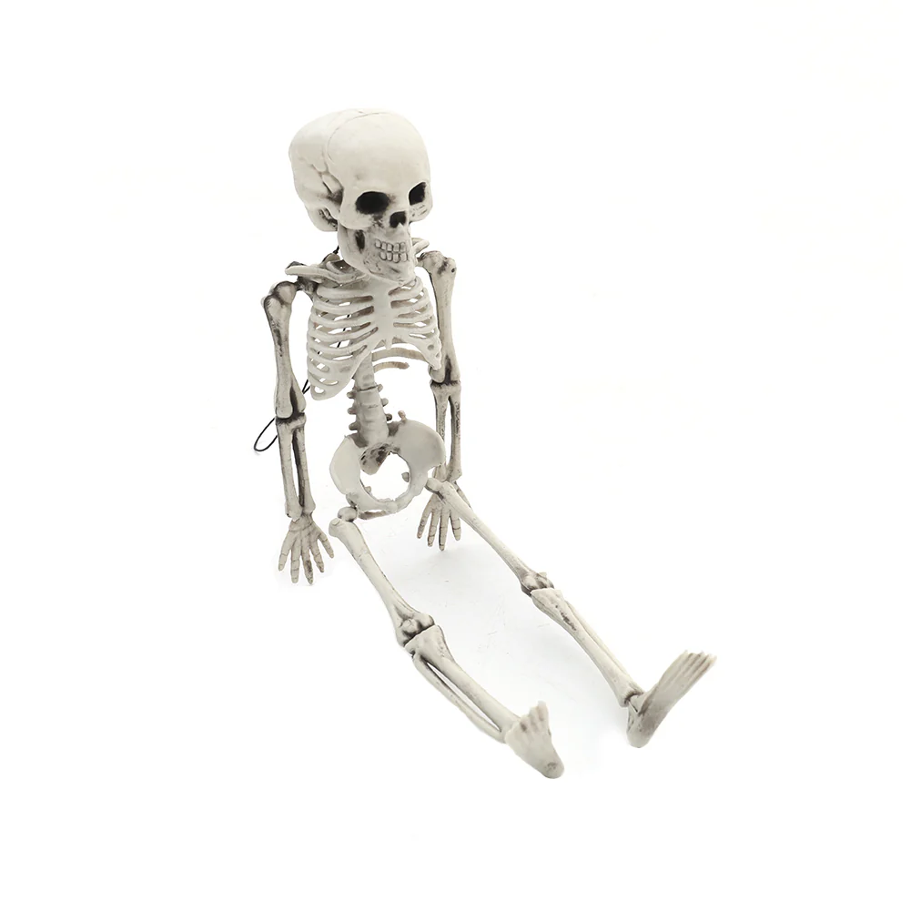 Realistic Posable Hanging Skeleton For Halloween - Image 7