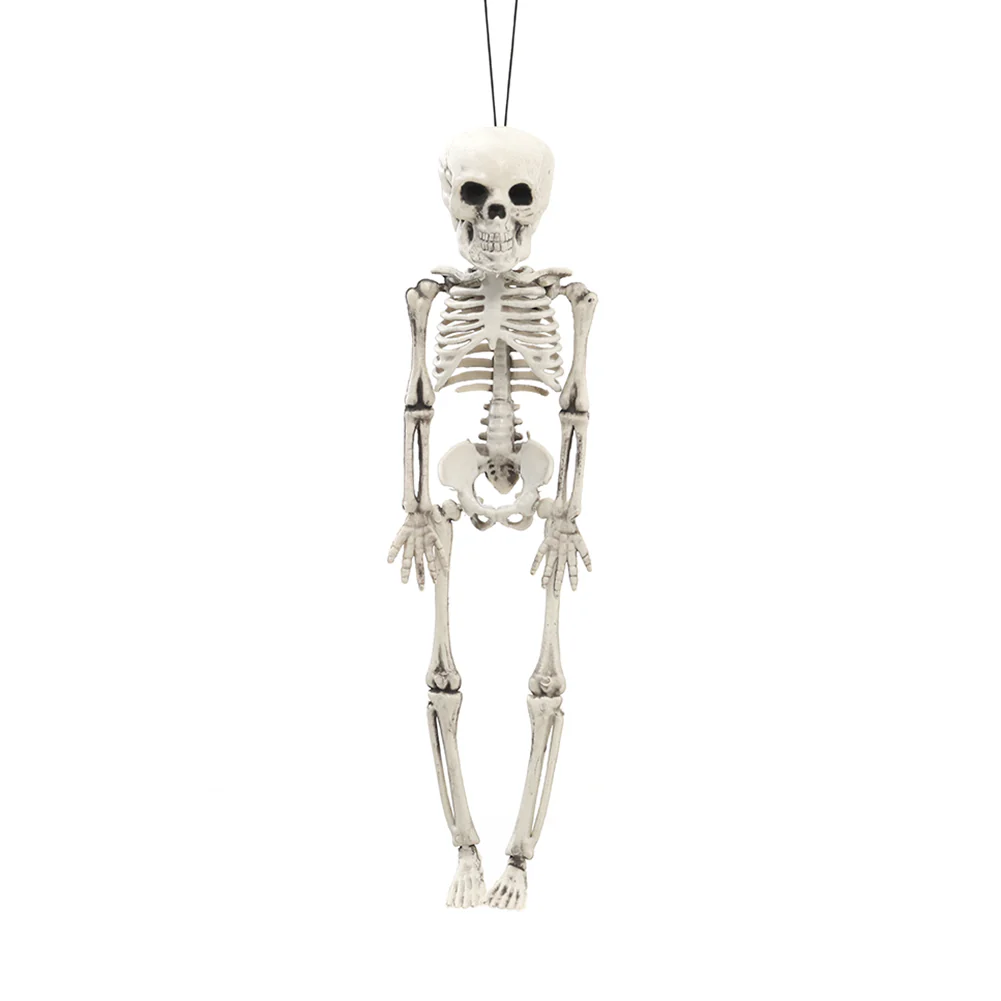 Realistic Posable Hanging Skeleton For Halloween - Image 9