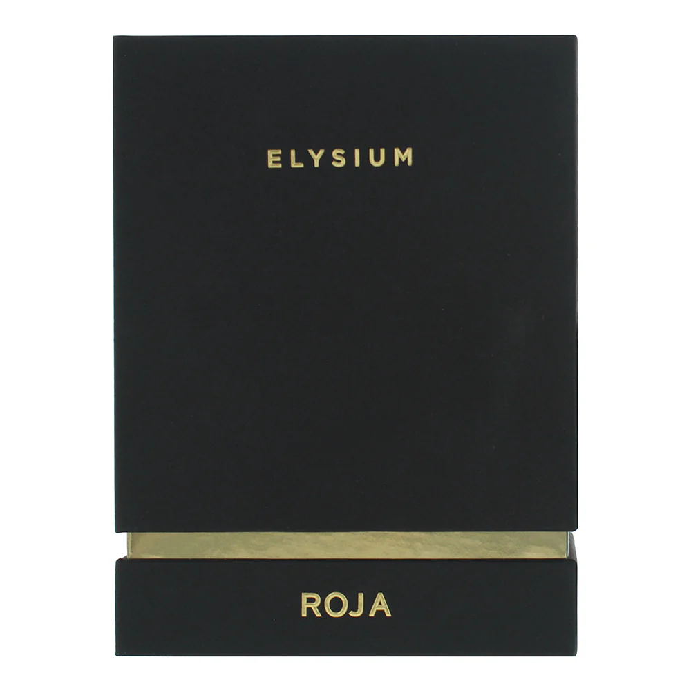 Roja Parfums Elysium Pour Homme Eau De Parfum 100ml - Image 4