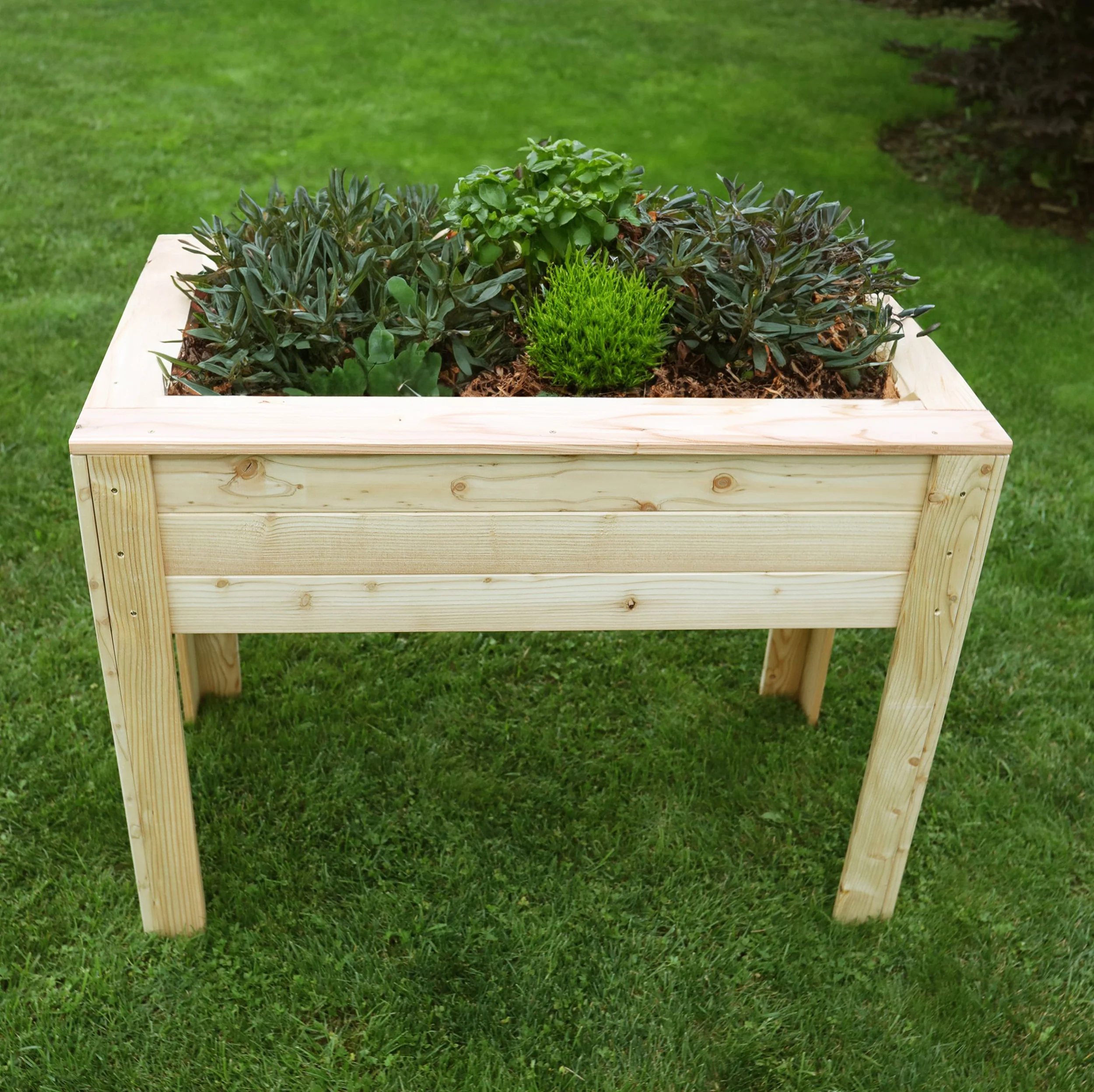 Stef Larch Planter - Image 2