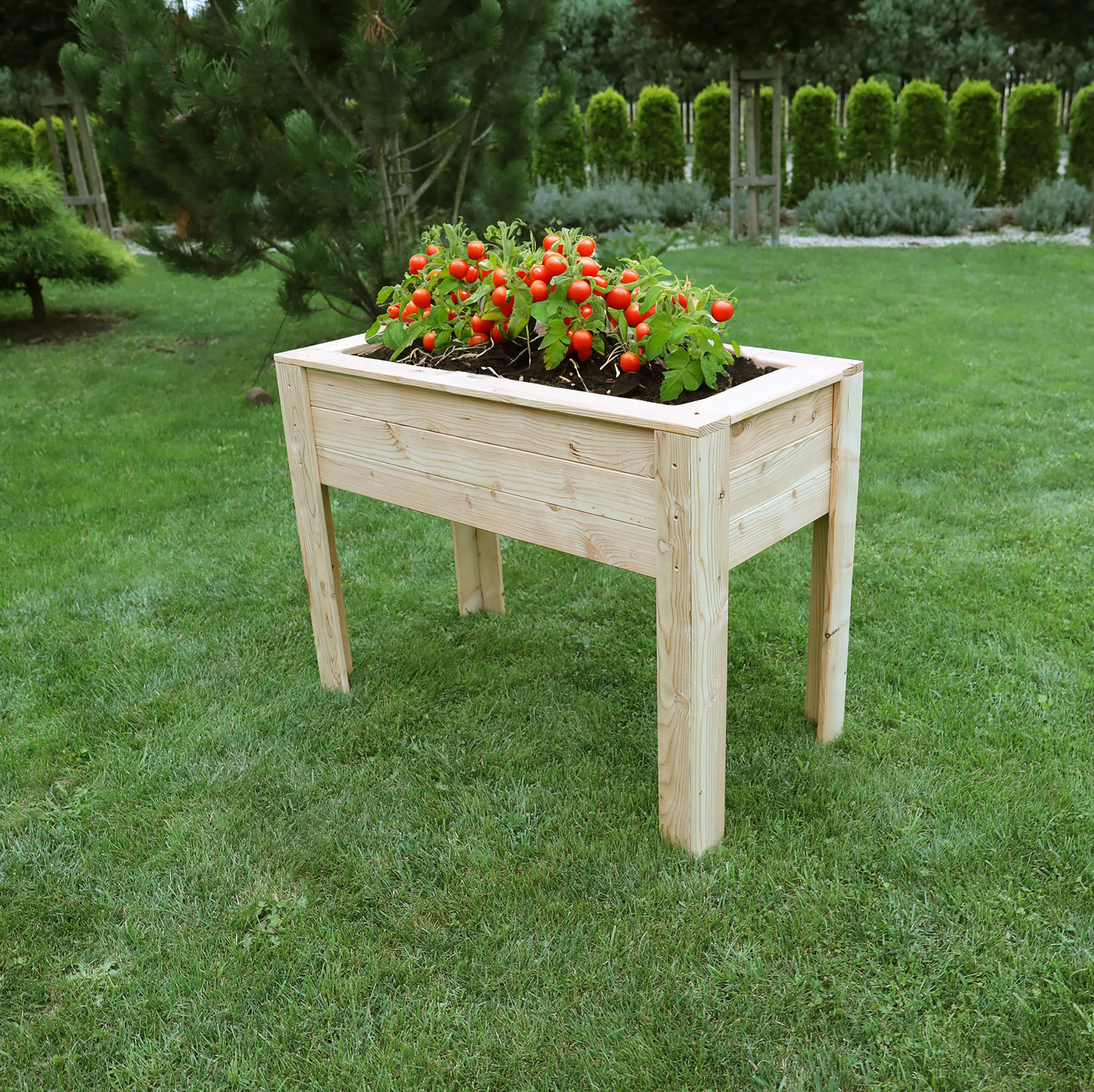 Stef Larch Planter - Image 3